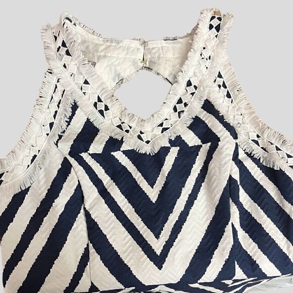 Taylor Fully Lined Fringe Dress / SZ: 8 - Picture 4 of 9